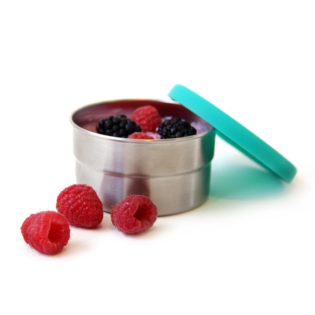 Stainless Steel Lunch Containers