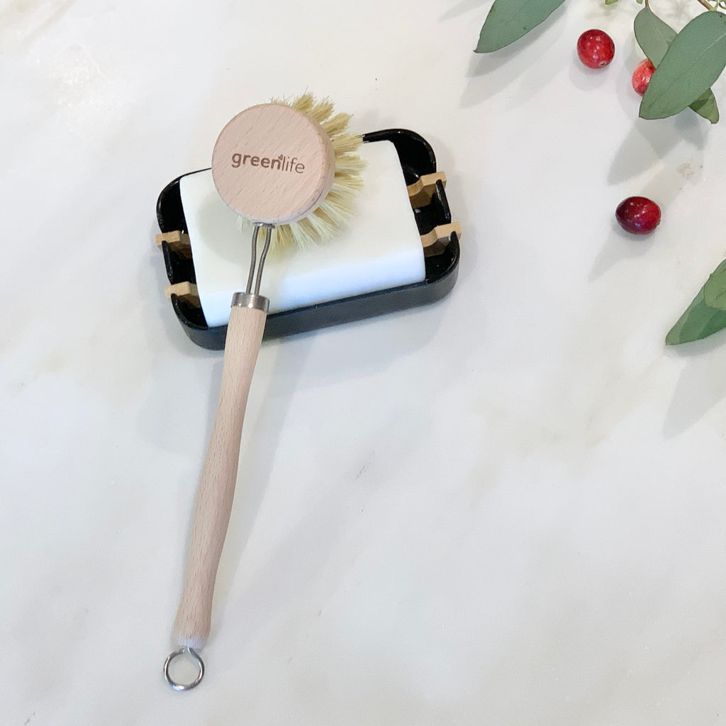 Beechwood Dish Brush – Sister Collective