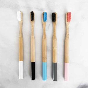 biodegradable toothbrush