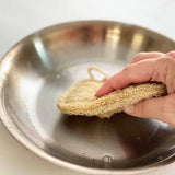 plastic free dish brush